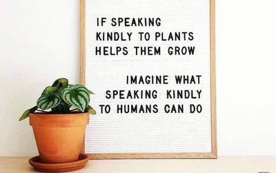 Sprinkle That Stuff Everywhere!