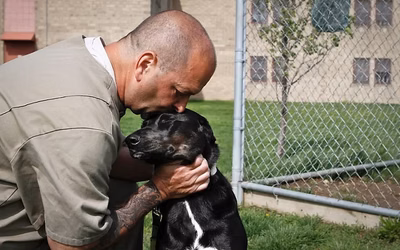 Animal Protection League F.I.D.O. Program